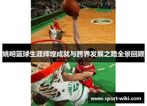 姚明篮球生涯辉煌成就与跨界发展之路全景回顾