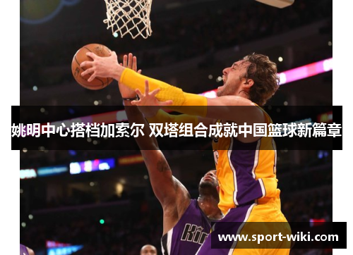 姚明中心搭档加索尔 双塔组合成就中国篮球新篇章 姚明中心搭档加索尔 双塔组合成就中国篮球新篇章