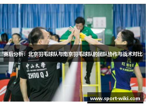 赛后分析：北京羽毛球队与南京羽毛球队的团队协作与战术对比