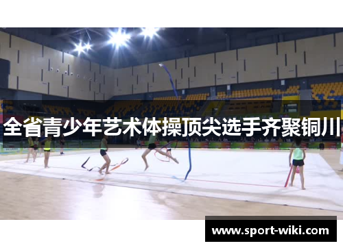 全省青少年艺术体操顶尖选手齐聚铜川